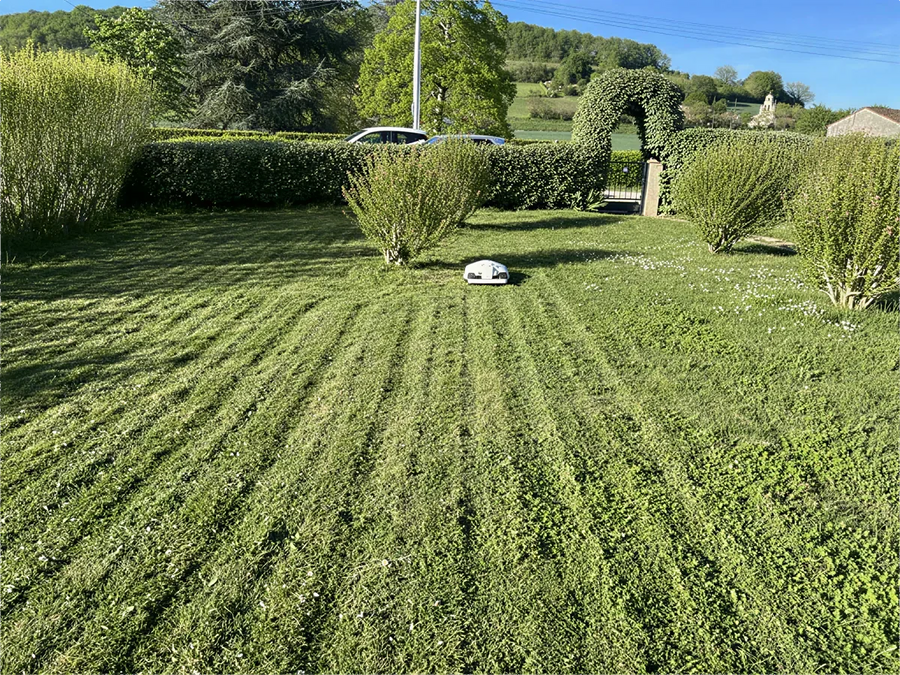 MAMMOTION robotic mower maintaining a family lawn