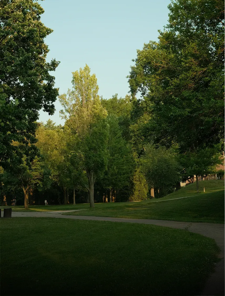 Césped de un parque público